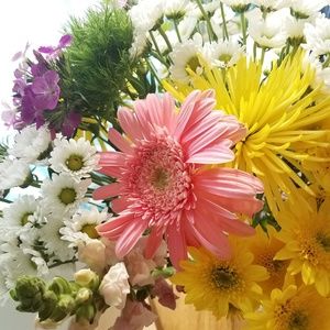 Meet your Posher, Sena